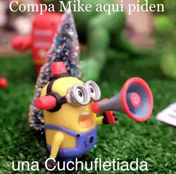 Laplebadanet's tweet photo. Si quieres saber de qué se trata la Cuchufletiada no te pierdas @elshowcompamike @InimitableMayra http://t.co/zf5XWfRmeq