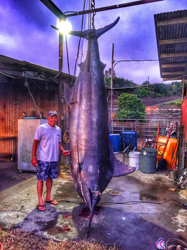 Fisherman lands a 1,368 pound marlin off Kona dlvr.it/BgzkM1 #808news
