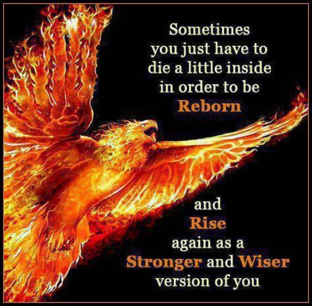 mindsetdev's tweet photo. http://t.co/lPGBVScPFu