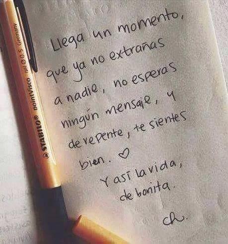 lorenanate's tweet photo. http://t.co/fENe3NjtCc