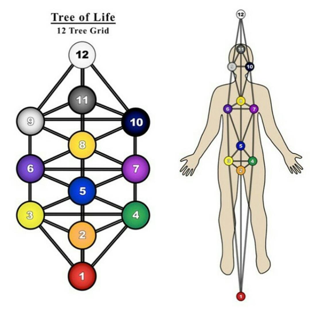 MurphyDonzerm's tweet image. #lightgrid of the body #charkras #meditation #peaceful