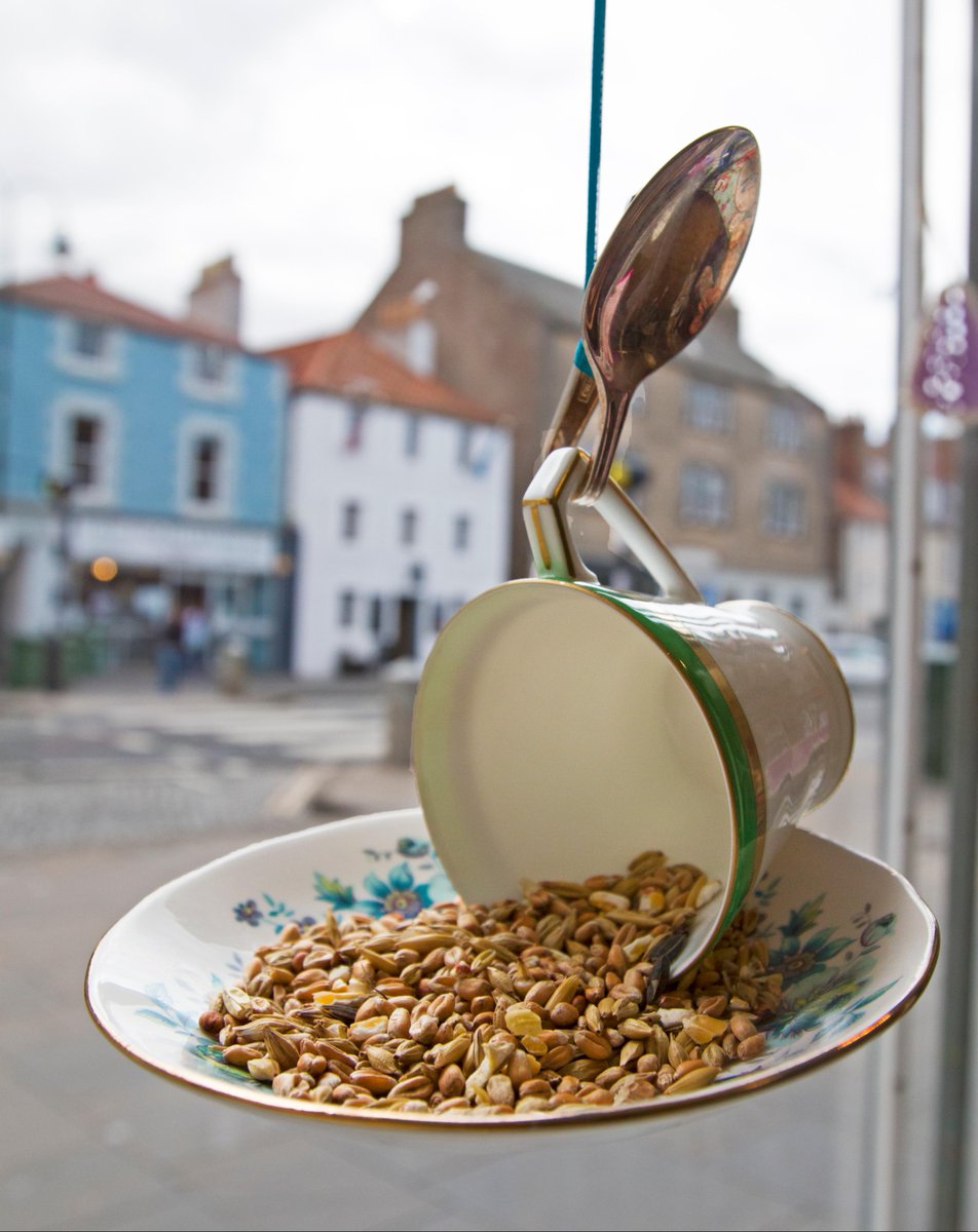 weeredupcycles's tweet photo. @HandmadeHour vintage teacup Bird Feeders I make #HandmadeHour #handmade #upcycle #garden #relovedinscotland #gifts http://t.co/4viFgxdAhK