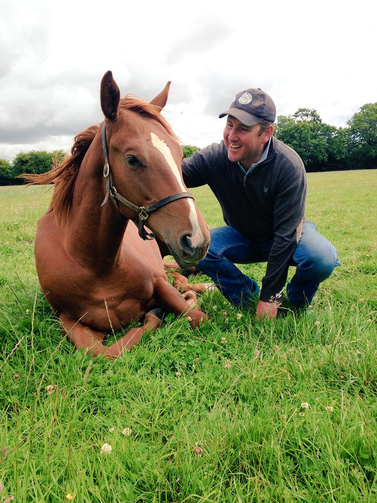 wickhamwicks's tweet photo. @HillwoodStud & a lovely Helmet colt.Last few days of hols for these yearlings who head to @Tattersalls1766 #holsover http://t.co/T354INqKlt
