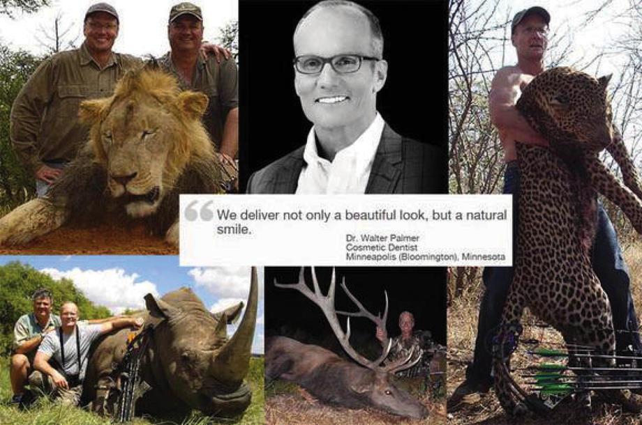 Reporte_Indigo's tweet photo. No es español; es estadounidense. Walter Palmer, el hombre que cazó al león Cecil, en Zimbabue http://t.co/XH4VeLrNH7 http://t.co/fLFEr2gbC4
