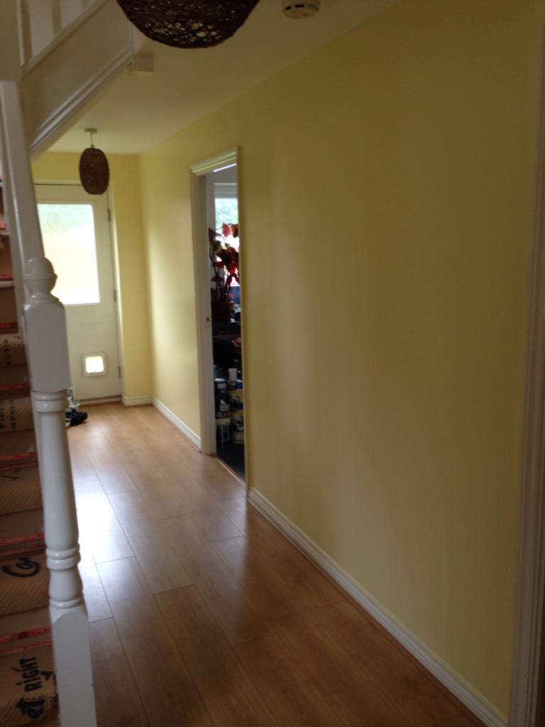 C C I on Twitter: "#dulux wild primrose #paint #painting #