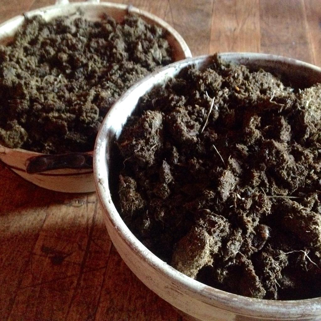 BDSHINN's tweet photo. Dug up the Biodynamic cow horn prep yesterday @shinnvineyard #coldwinter #latecompost http://t.co/alxeOhXw2f