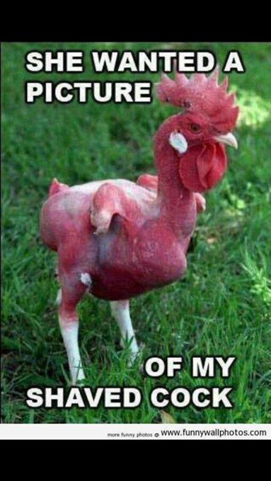 😂😂😂😂😂😂😂 http://t.co/i8okgCfw9R<a href="/tag/chef"class="tags"><span>#chef</span></a><a href="/tag/snapchat"class="tags"><span>#snapchat</span></a><a href="/tag/snapme"class="tags"><span>#snapme</span></a><a href="/tag/kaleykade"class="tags"><span>#kaleykade</span></a>