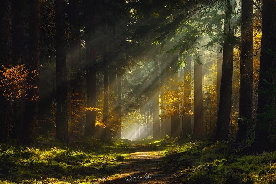 PinarAkal1's tweet photo. The powerful play goes on and you may contribute a verse. 

~ Walt Whitman http://t.co/kgqGtjqwNy