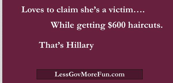 LessGovMoreFun tweet picture