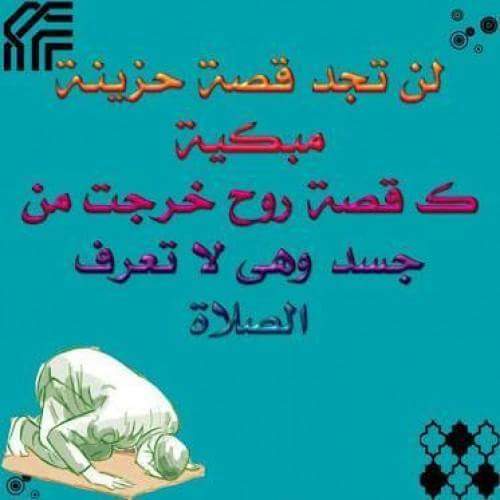 Ammar Habashi (@77280abod) on Twitter photo 