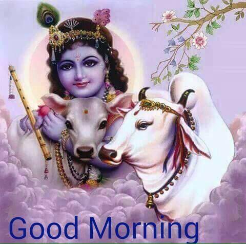 Pradipta On Twitter Good Morning World With Blessings