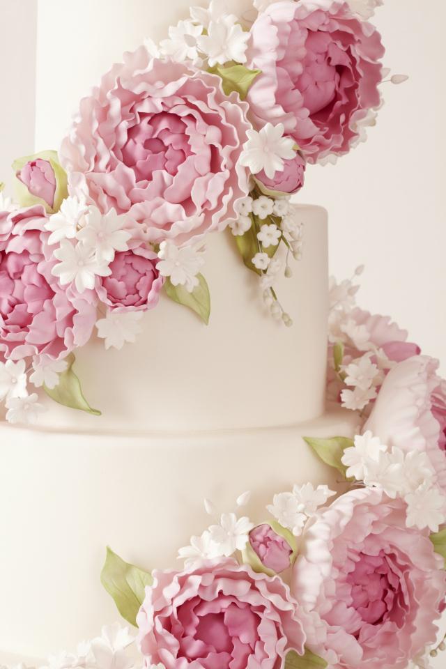 5 Star Weddings tweet media