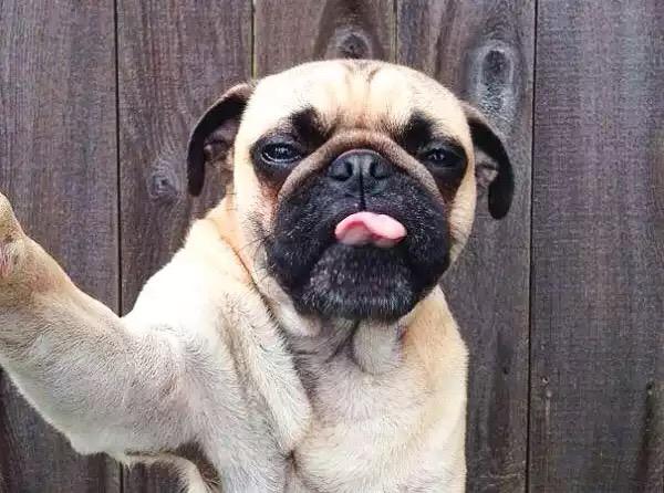EmeraldOps's tweet photo. Be careful, too many #selfies could cost you your job...

 via @Monster 
http://t.co/xtKdJa2wNv http://t.co/aZVkRiujHx