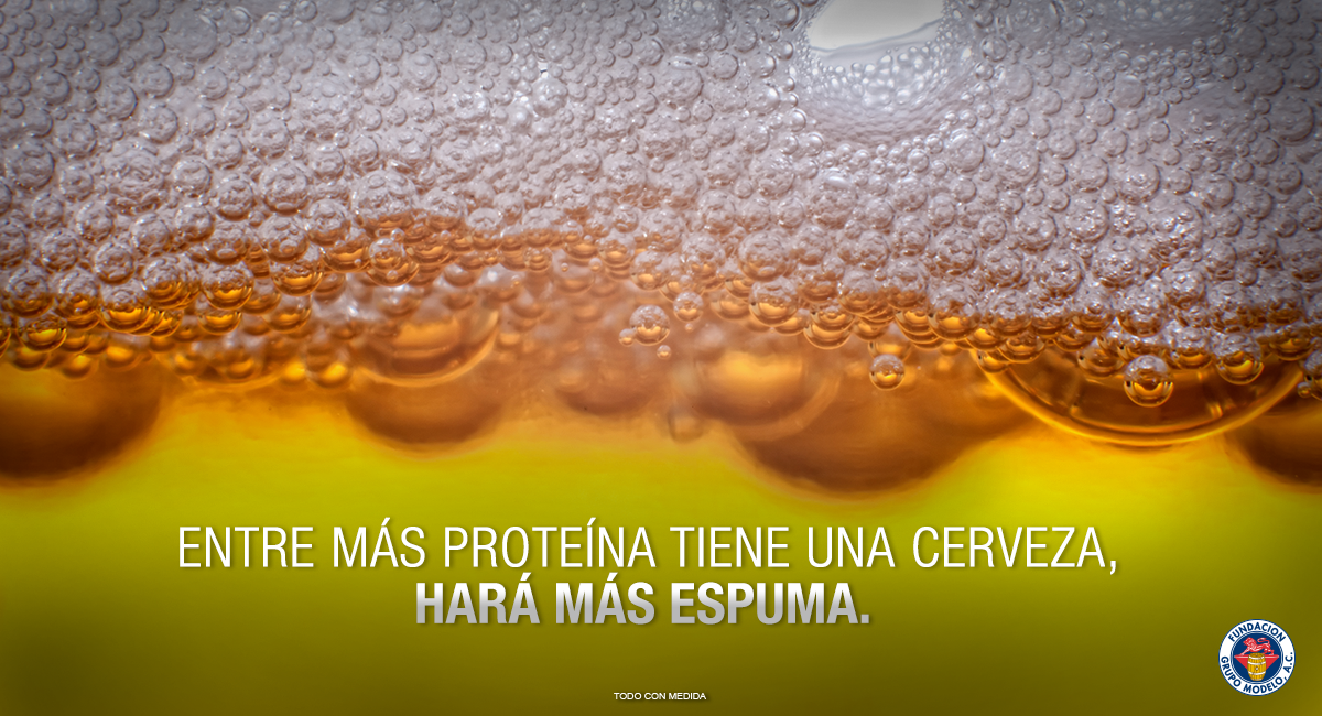 ConsumidorModel's tweet image. #DatoModelo La cantidad de espuma que hace una cerveza es proporcional a la cantidad de proteína que contiene.