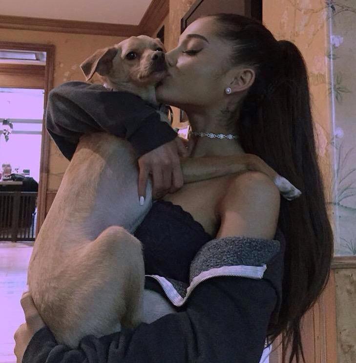 NUEVA FOTO: Ariana con Tolouse.