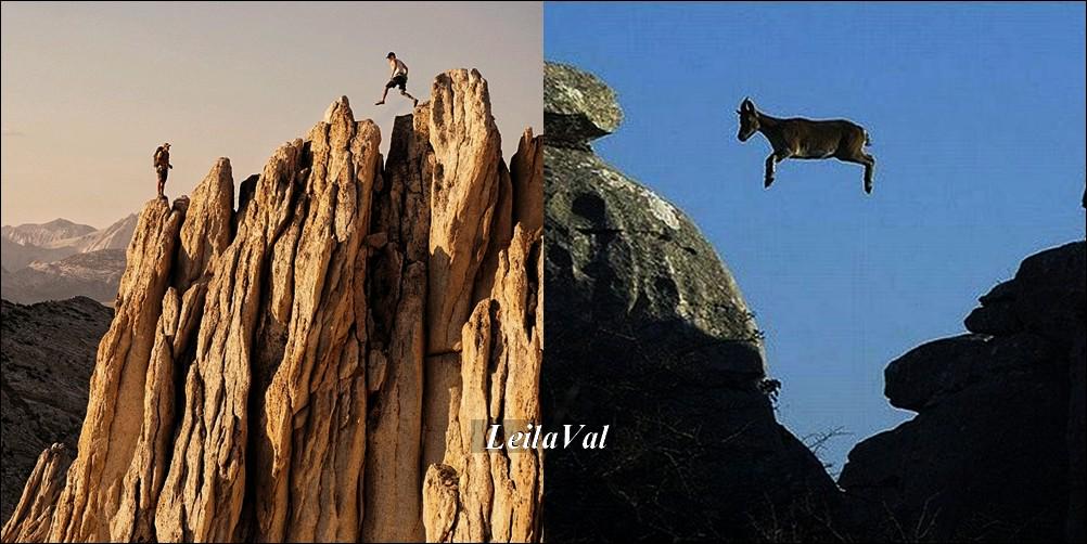 Rio_To_Mars's tweet image. ♫♫ I'm a goat you're an angel ♫ @JaredLeto  #greatwideopen #ntothewild