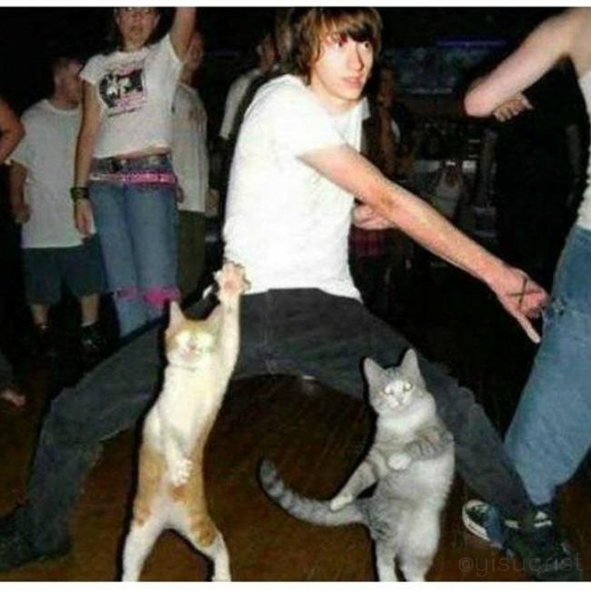 yisucrist's tweet photo. k coño está pasando en esta foto? xdddd http://t.co/5Bqn9THn89