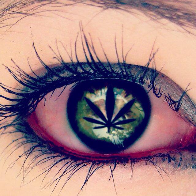 MadisonHtr's tweet photo. #DepenalcannabisFr #enfrancejaimerais http://t.co/l7ZK7uqKzC