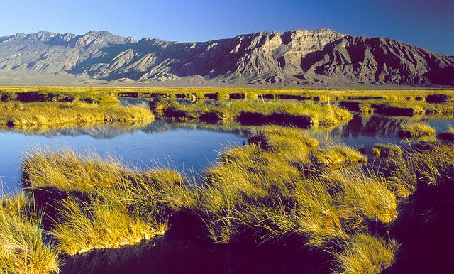 DestinosTurMX's tweet photo. Bellezas como las de #Coahuila, las encontrarás en muy pocos rincones del mundo.  http://t.co/hJ95qxRxdz http://t.co/XFi8LUuPBR