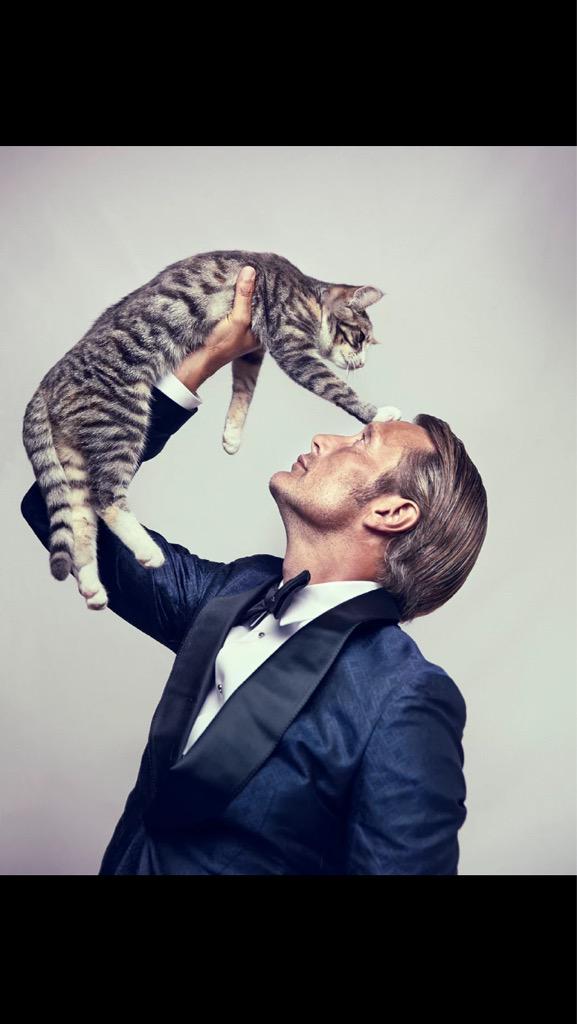 DreamerAbe's tweet image. Turns out there are two photos of #Hannibal with a cat, @ak_hannicat! Stole them from @WaywardFannibal! #DearWill