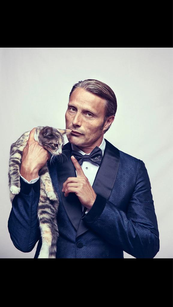 DreamerAbe's tweet image. Turns out there are two photos of #Hannibal with a cat, @ak_hannicat! Stole them from @WaywardFannibal! #DearWill