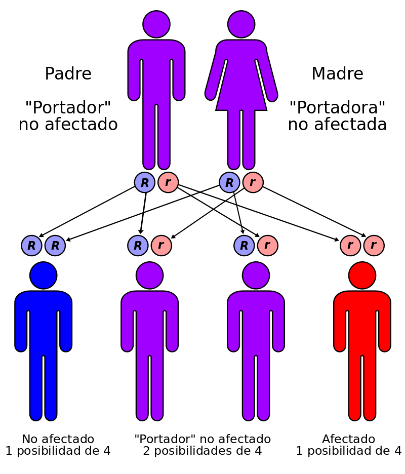 GabrielMinauro's tweet photo. El cáncer hereditario es causado en algunos casos por un gen anormal que se trasmite de una generación a otra. http://t.co/vNDbXDnWRc