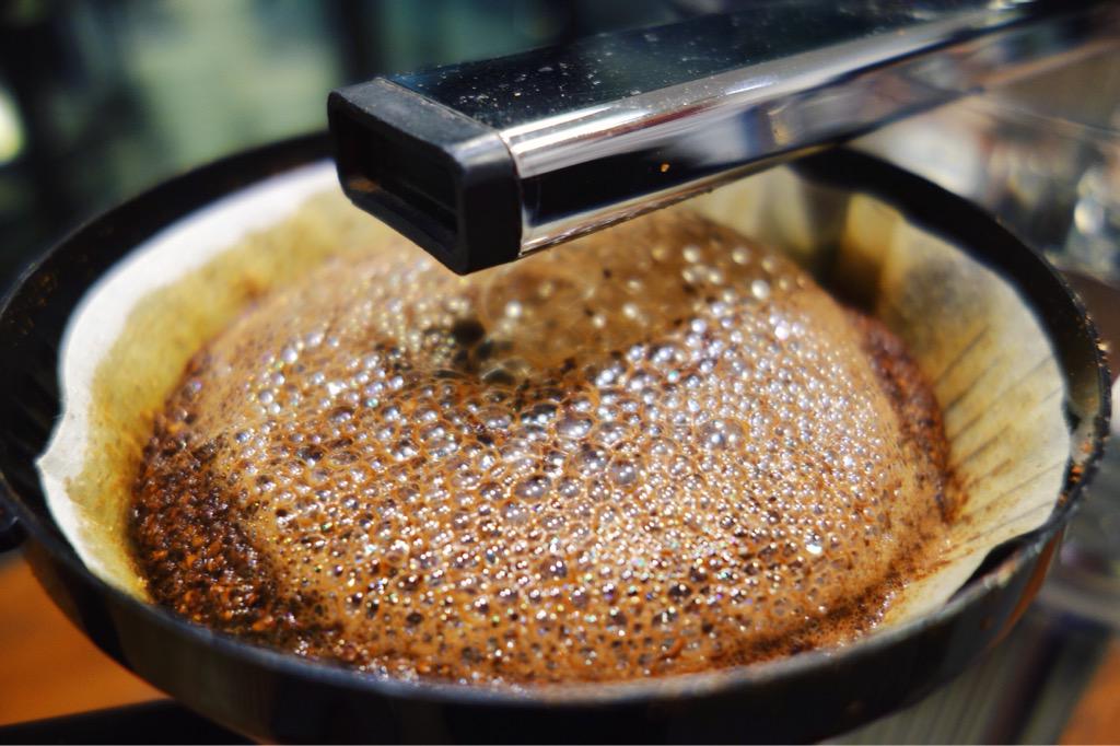 Blooms Roastery on Twitter: quot;Coffee Blooming for your early morning start. Bloomsroastery Blooms Roastery on Twitter: quot;Coffee Blooming for your early morning start. Bloomsroastery
