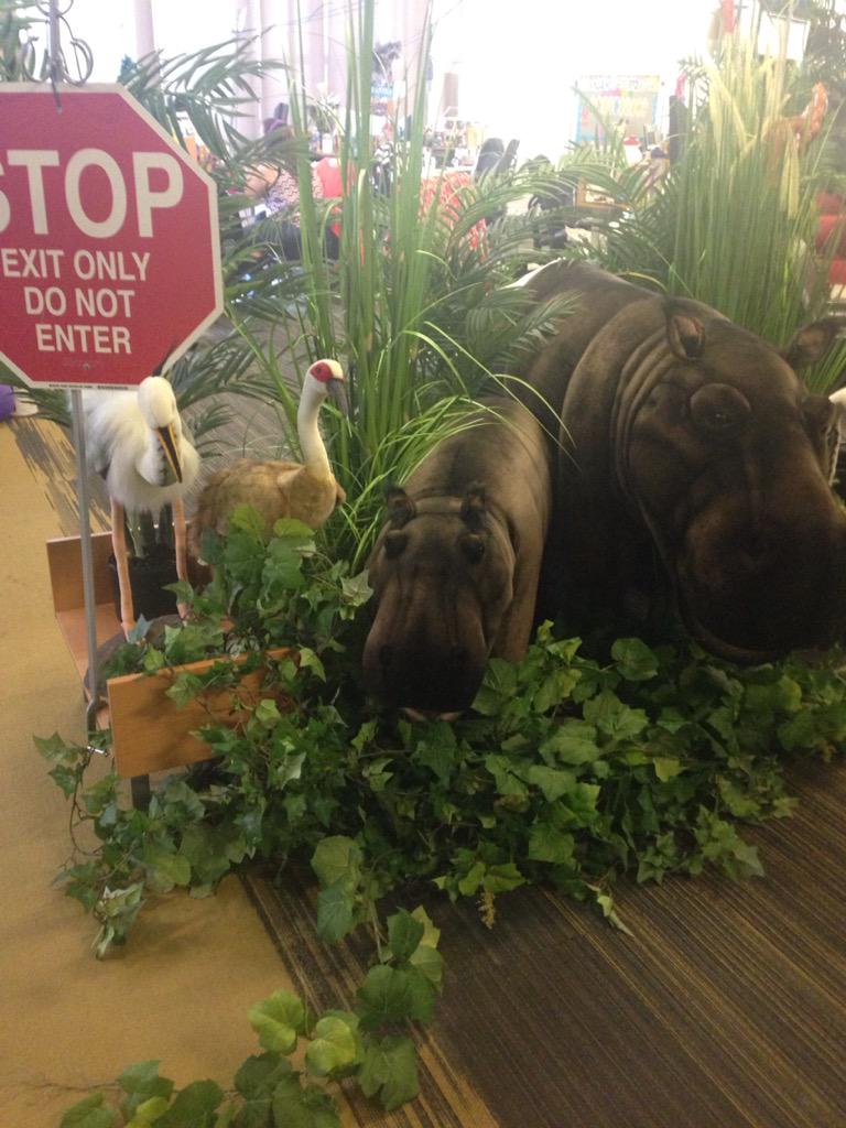 jaimenack's tweet image. Loved the #zappostour and visit with the animals in #HR @zappos !