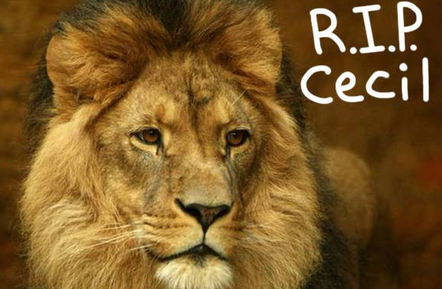 PerezHilton's tweet photo. In memory of #CecilTheLion, here are 5 animal cruelty cases where justice was served! #Karma http://t.co/Z8xnDDzsZc http://t.co/9CGpopJOX4