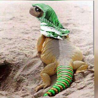 محمد (@tdoikthm5r2qbd2) on Twitter photo 