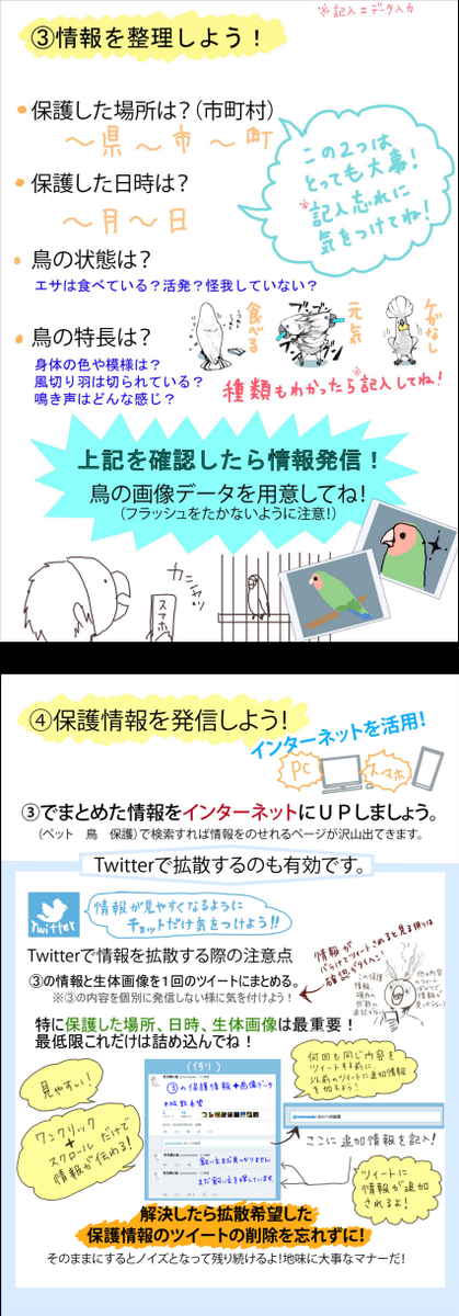 「ペットの鳥（小型、中型）を保護した時の対処方法まとめ」の
画像データです。
内容詳細は下記URLでご確認下さい。
 