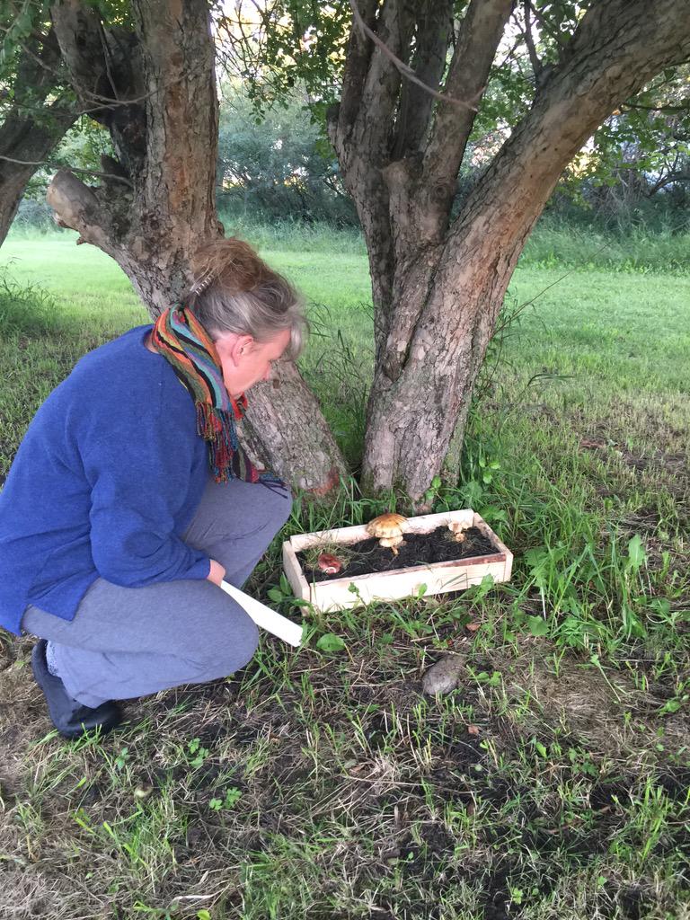 MyPortalTech's tweet image. St Agnus' Secret Garden!