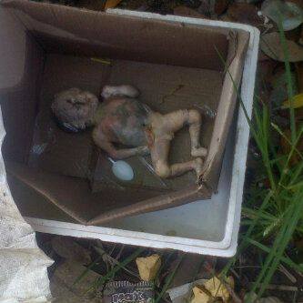 penemuan mayat bayi (orok) posisi di air tkp dekat jembatan amiyajl kelayan A GG 12 ujung (kelayan besar)