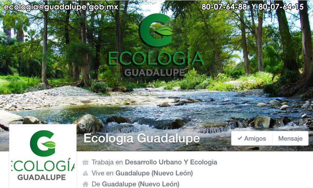AtnGpe's tweet photo. @cesargarzav @palomithya @AnaRent //Les comparto teléfonos, página de FB y correo de la Dirección de Ecologia,saludos http://t.co/6zS7GGSUsx