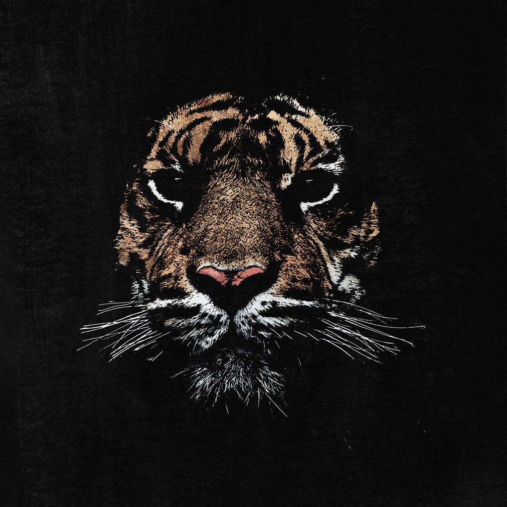 alexcherrypicks's tweet photo. #GlobalTigerDay #AlexCherry http://t.co/LBiKAptwln