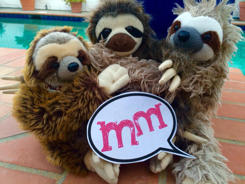 DiNGOTheDogtor's tweet photo. Seein as how I'm gonna be a @2MischiefMakers SLOTH soon, I got my minions to spread the word! ❤️ #LiveSlowDieWhenever http://t.co/2qWoVXlQ4y