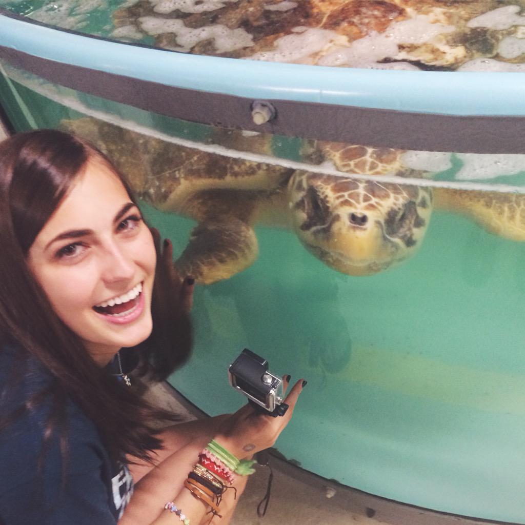 mace_n_ur_face's tweet photo. Loved seeing these sweet babies at the Sea Turtle Hospital in Charleston, SC today😍🐢 #SaveTheSeaTurtles http://t.co/g0zFZLo4dT