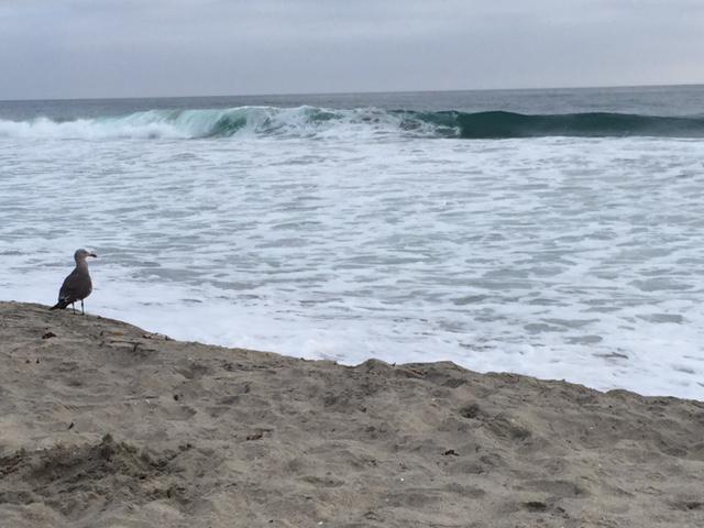 socalgolfblog's tweet photo. #sunset and #surf @ExperienceSD @visitsandiego http://t.co/uM0HgZJtZi