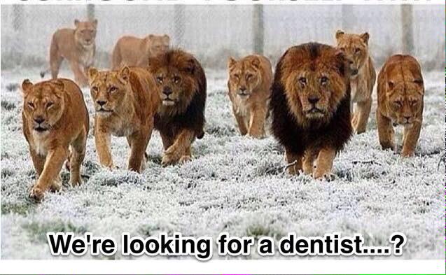 GaryMason101's tweet image. I like ....... #dentist #coward