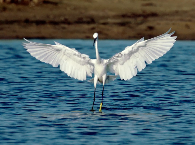 ClimateOps's tweet photo. The last video we received came from Hans Leysieffer, an amazing documentarymaker.
Keep sending! #climateops #nature http://t.co/DvQNmcvf0D