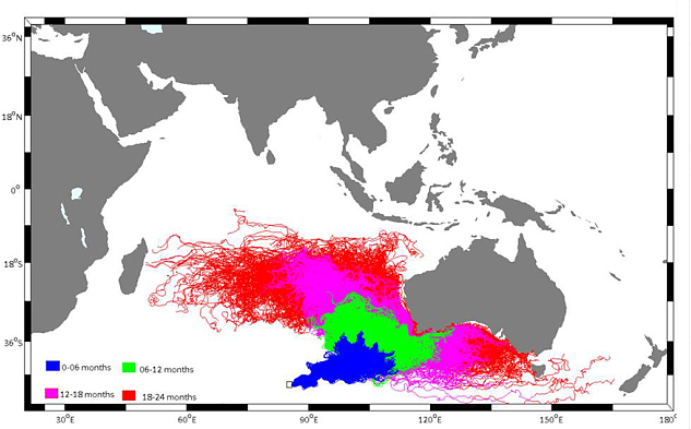 Telegraph's tweet photo. #MH370: Model of ocean currents predicted wreckage would land around Reunion http://t.co/3LDACX0geS http://t.co/GcnQWZMegK