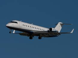 Emerald Jets tweet media