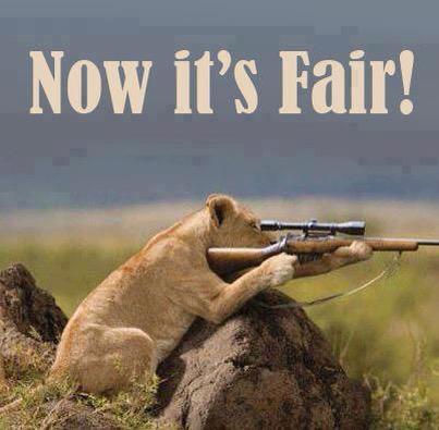 baileyscoffee2's tweet photo. #CecilTheLion http://t.co/mM7jV8SiUU