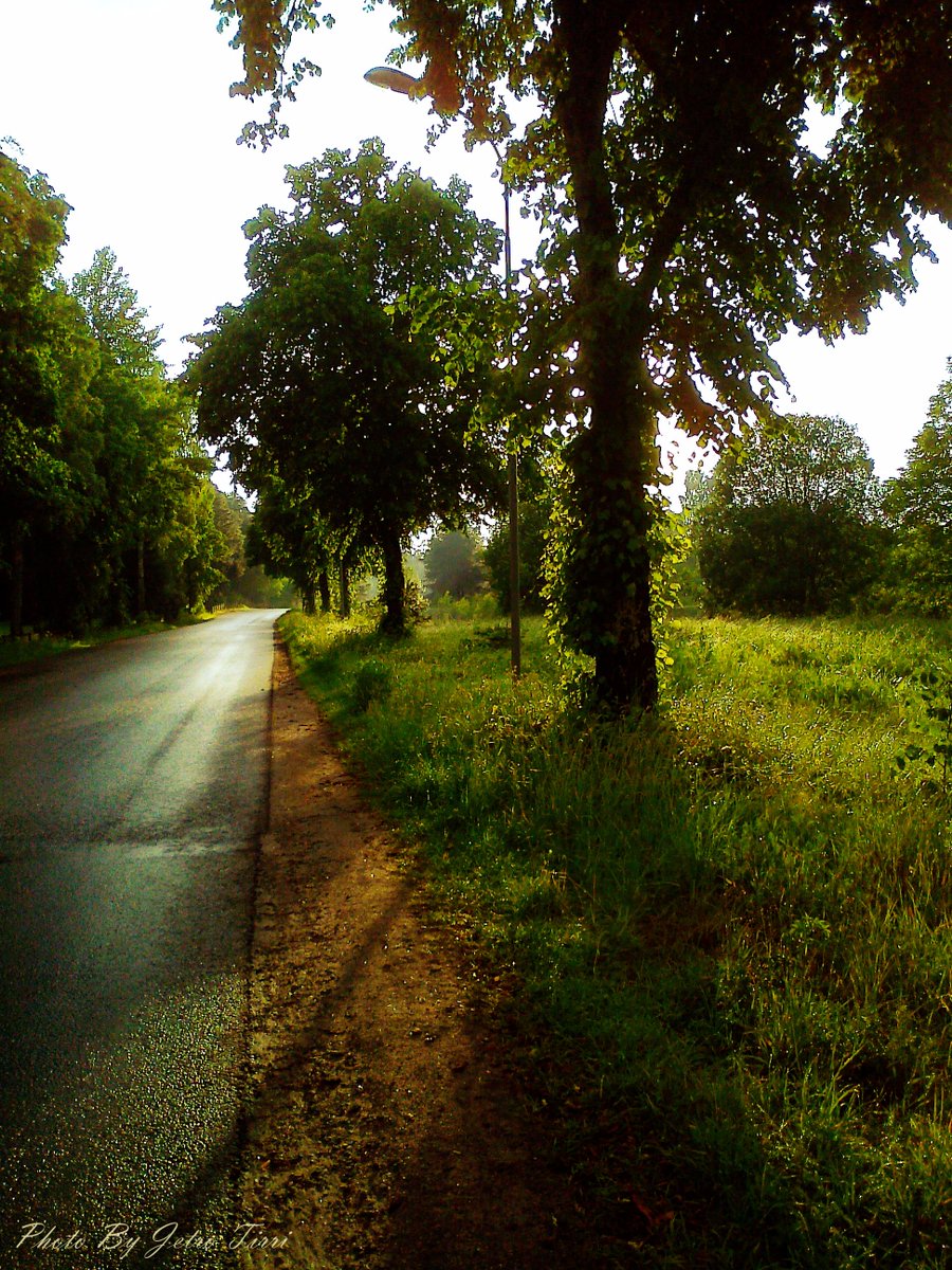 After the rain

#naturephotography #landscape #JetroTirri #Jetro #AfterTheRain #DespuésDeLaLluvia #nature
