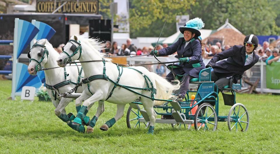 My ponies "Touch &amp; Go" at <a href="/NewForestShow/">New Forest Show</a> yesterday, A great day, A great show ! Next stop <a href="/HicksteadEvents/">AEJC, Hickstead</a>