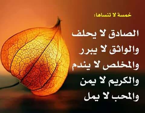 Abed Qamoum (@abedqammoum) on Twitter photo 