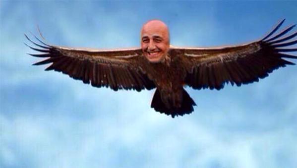    happy birthday Mr. Condor! non smettere di volare mai!  