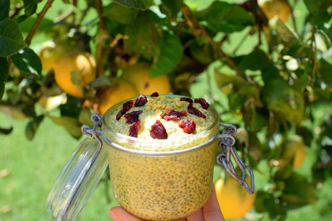 AdunaSuperfoods's tweet photo. 6 delicious ways to liven up your Chia Pudding on @GetTheGloss http://t.co/P96ddebPq6 http://t.co/oIqduWpGo0