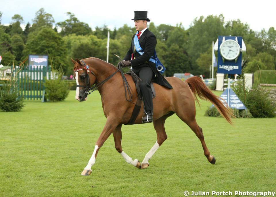 ESurfaces's tweet photo. Huge Congratulations to Ben @MrBenHester our sales consultant for winning at The Royal International Horse Show http://t.co/1cd1ktvKH1
