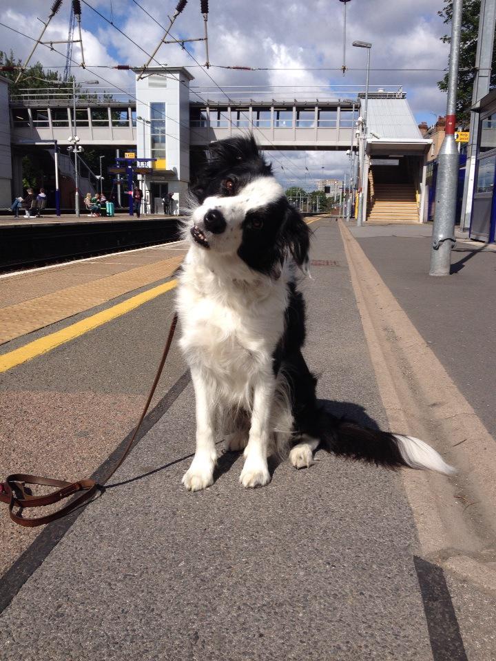 LilyinLDN's tweet photo. Where are all my fellow commuters? #latefor work @WHampstead http://t.co/YsCyUDro7y